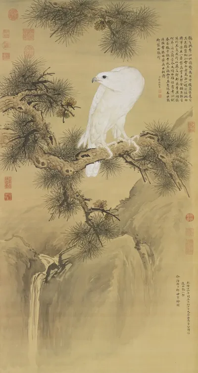White Bird Of Prey
