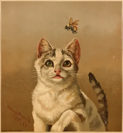 White Cat With Bee