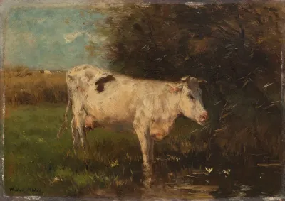 White Cow