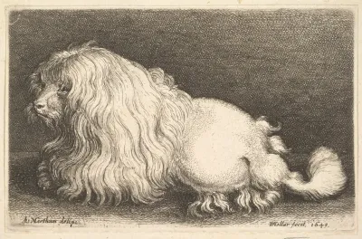 White Dog