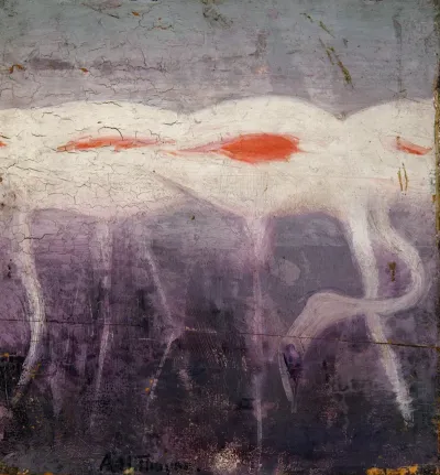 White Flamingoes Study For Book Concealing Coloration In The Animal Kingdom