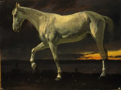 White Horse And Sunset