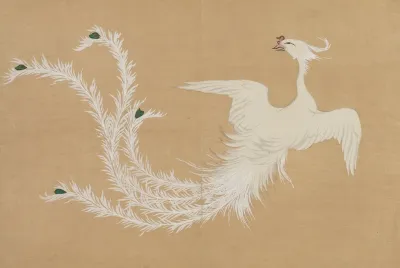 White Phoenix Hakuho