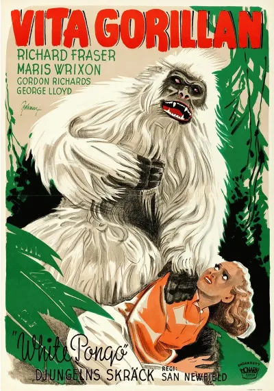 White Pongo
