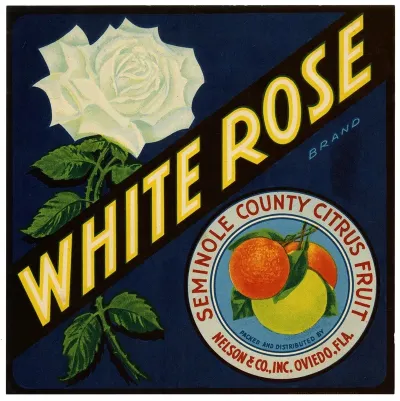 White Rose Brand Citrus Label 3