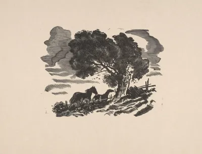 Wiatr Ilustracja Do Ksiazki Song Of The Little Indian Mais