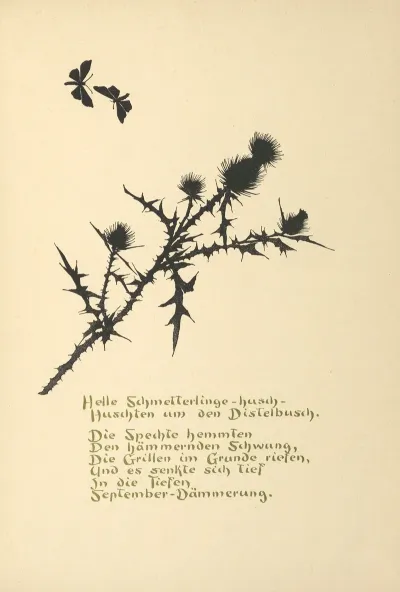 Wichtel Mannchen Pl 21
