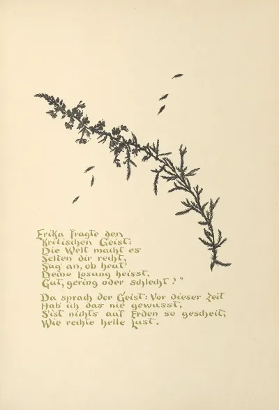 Wichtel Mannchen Pl 32