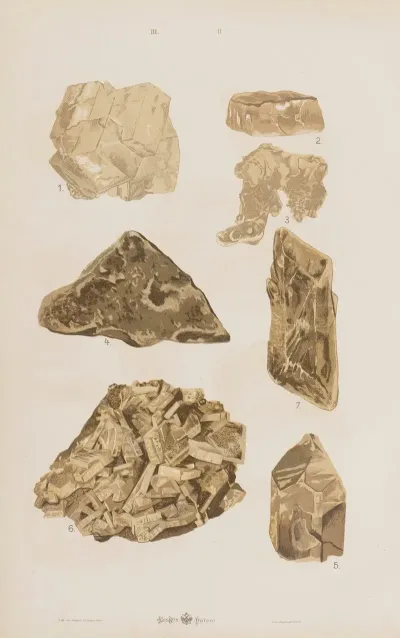 Wielki Atlas Do Zoologii Botaniki I Mineralogii Pl 114