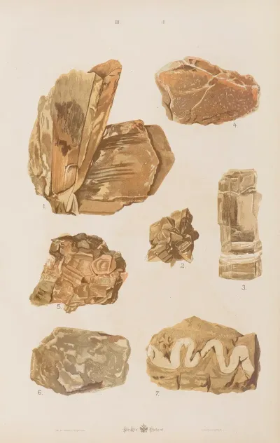Wielki Atlas Do Zoologii Botaniki I Mineralogii Pl 115