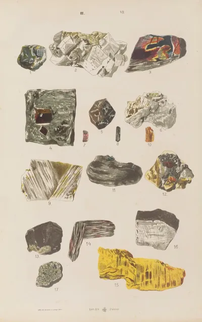 Wielki Atlas Do Zoologii Botaniki I Mineralogii Pl 119