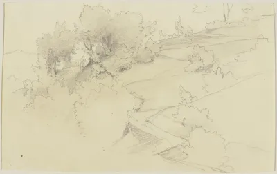 Wiesenlandschaft Mit Baumen 2