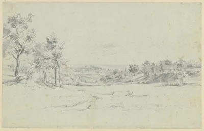 Wiesenlandschaft Mit Baumen