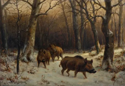 Wild Boars In The Snow