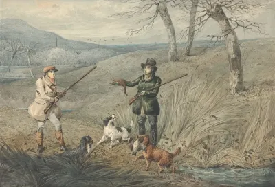 Wild Duck Shooting