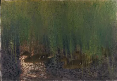 Wild Ducks In Horse Tail