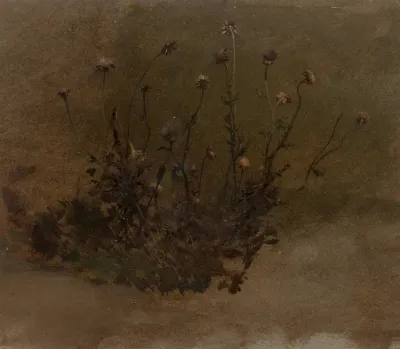 Wild Flowers Thistles