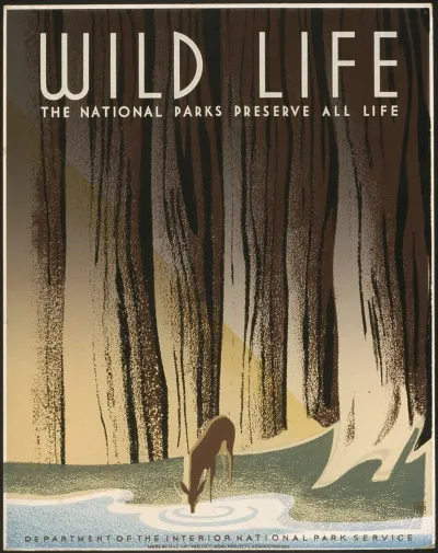 Wild Life The National Parks Preserve All Life 2