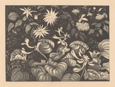 Wilde Planten En Bloemen