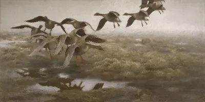 Wildgeese Settling