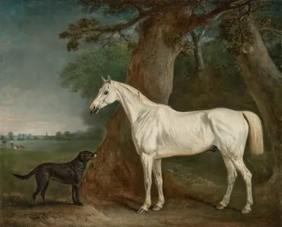 William Bowan Jordan Wilsons Grey Hunter And Newfoundland Shooting Dog In A Wooded Landscape