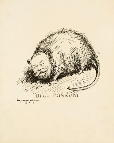 William Howard Taft Depicted As A Opossum