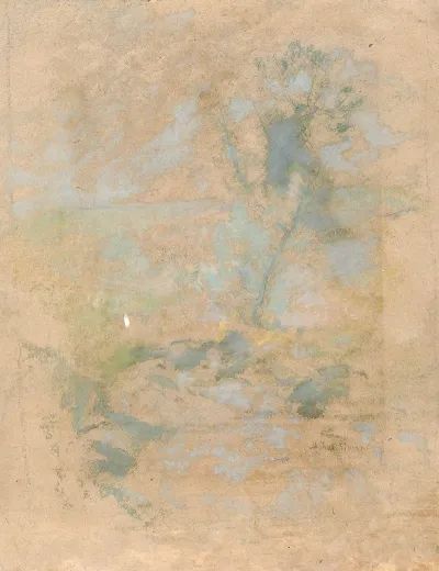 Willow 2