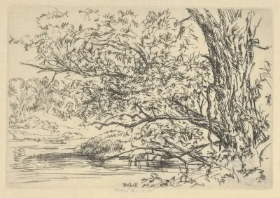 Willow And Water