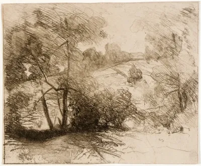 Willows 4