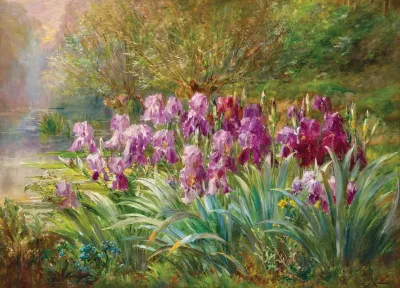 Willows And Irises By A Creek