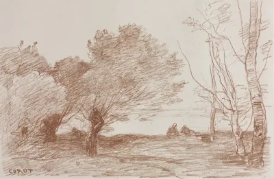 Willows And Poplars