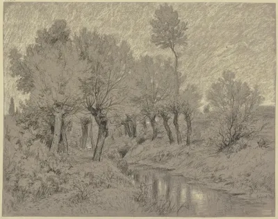 Willows At A Stream