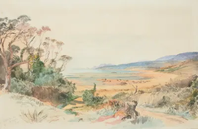 Wiltshire Bay And The Nuggets Otago Coast