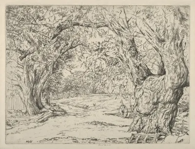 Winnegance Willows