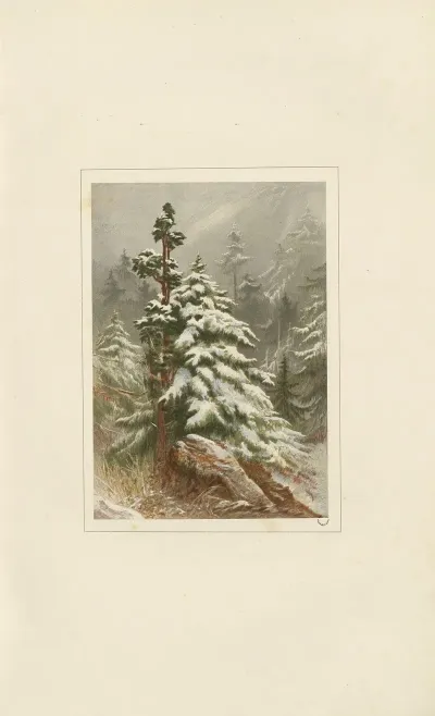 Winter 74