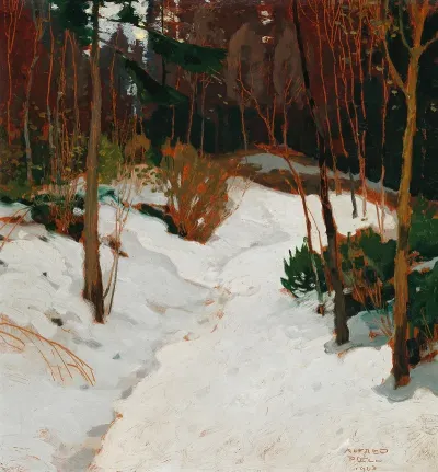 Winter Forest