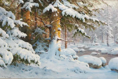 Winter Im Wald