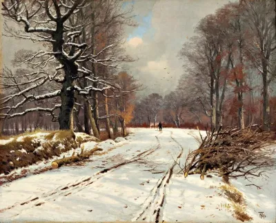 Winter Landscape Of Forests Near Hillerod