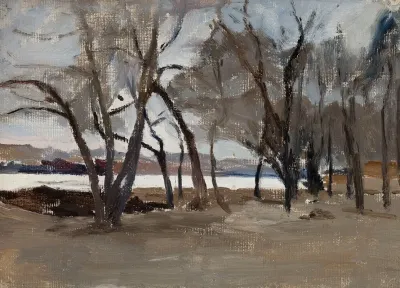 Winter Landscape Park On The Petrovsky Island