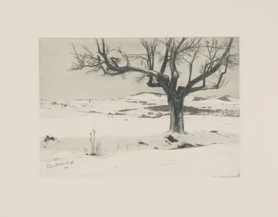 Winter Landscape With A Tree