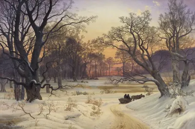 Winter Night In A Forest
