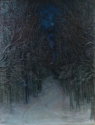 Winter Night In The Forest