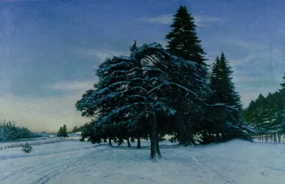 Winters Day At Uggleviken