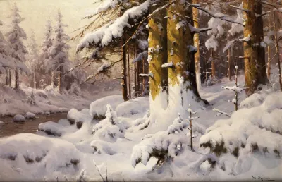 Wintry Forest Landscape