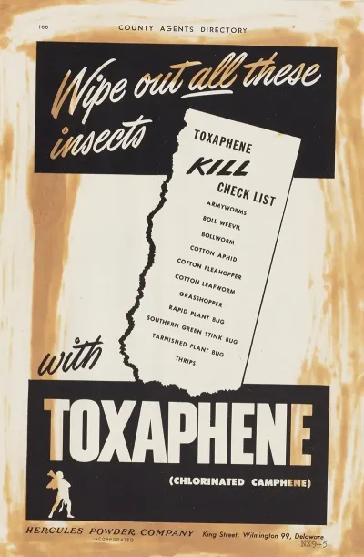 Wipe Out All These Insects With Toxaphene