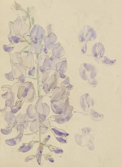 Wisteria 2