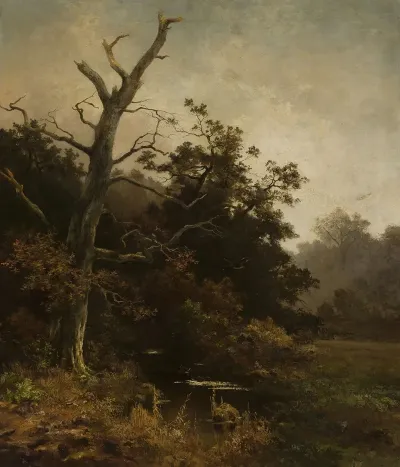 Withered Tree On A River Bank