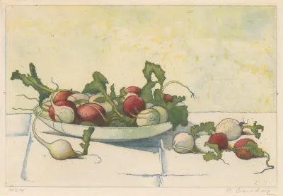 Witte En Rode Radijs In Een Schotel