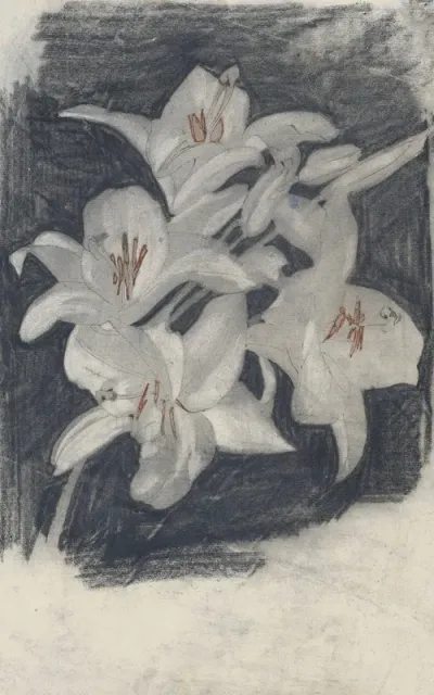 Witte Lelies