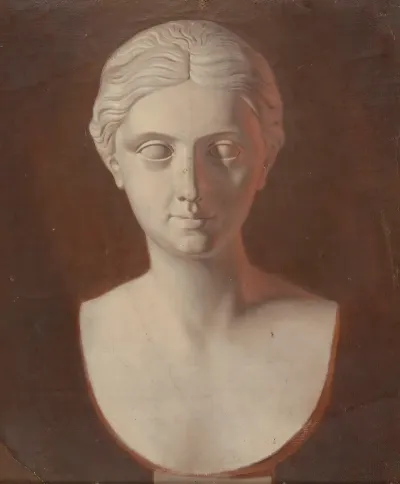 Woman S Head